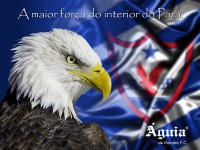 /album/wallpapers/aguia-bandeira-ao-fudo-1024x768-jpg/